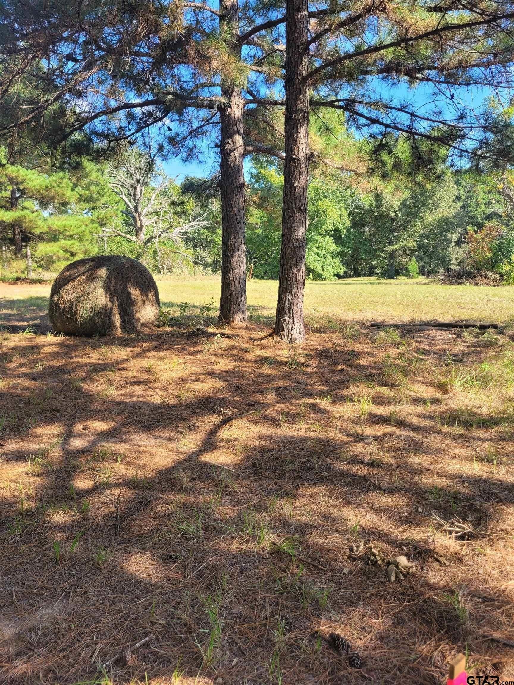 17.92 acres in Smith County - photo 11
