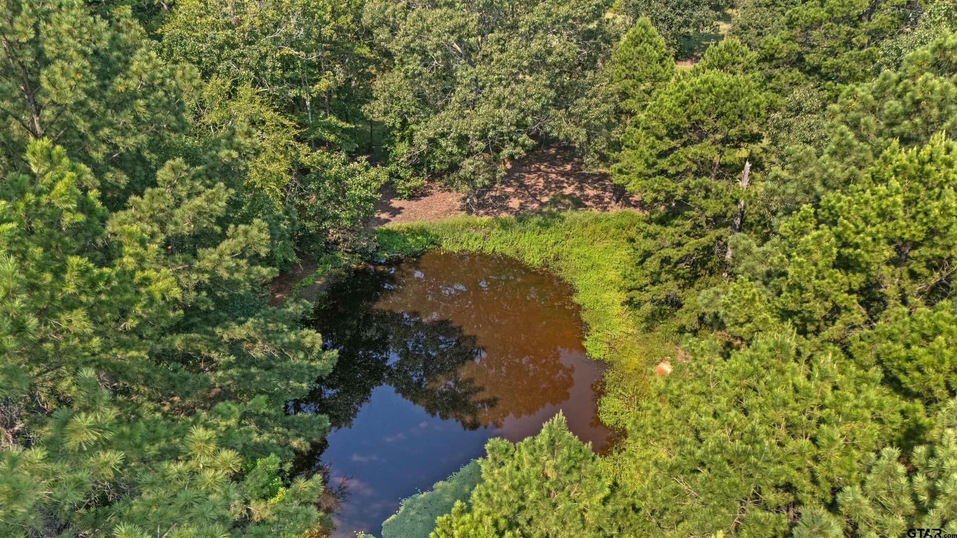 17.92 acres in Smith County - photo 9