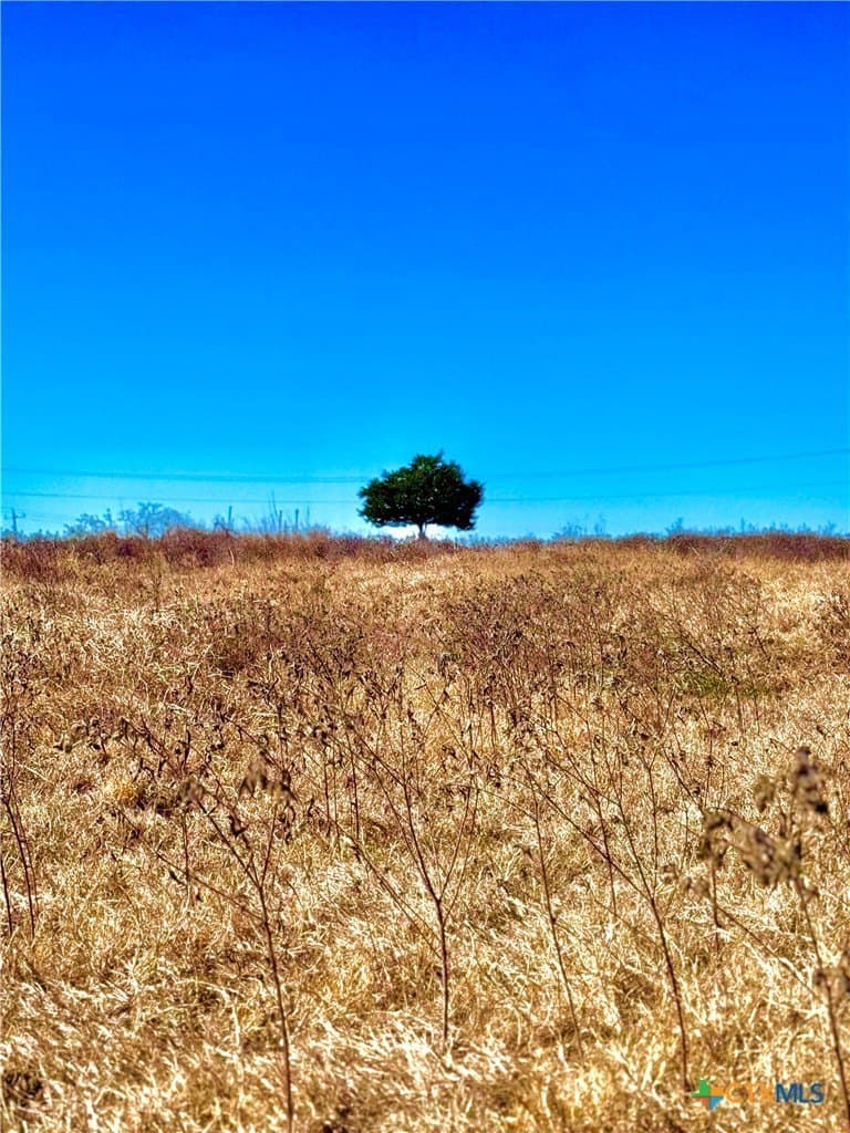 4.48 acres in Guadalupe County - photo 6