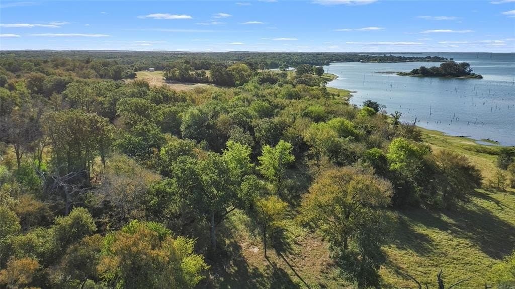 43 acres in Limestone County - photo 16