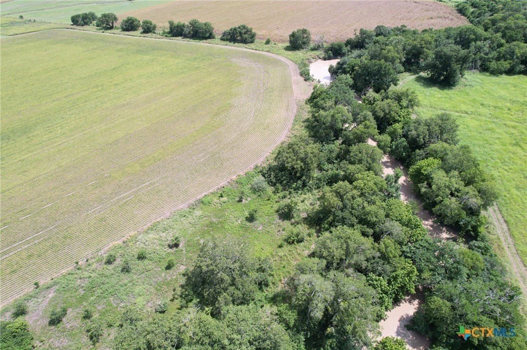 91.76 acres in Milam County - photo 12