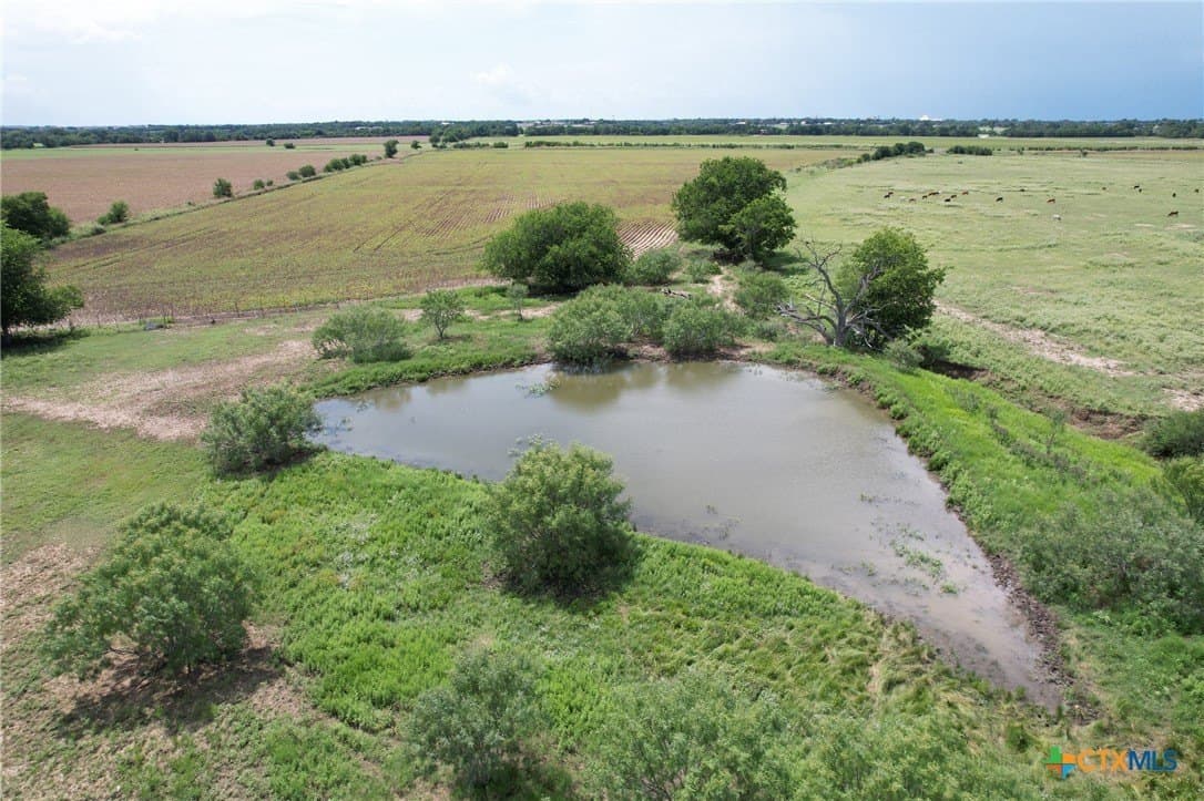 91.76 acres in Milam County - photo 5