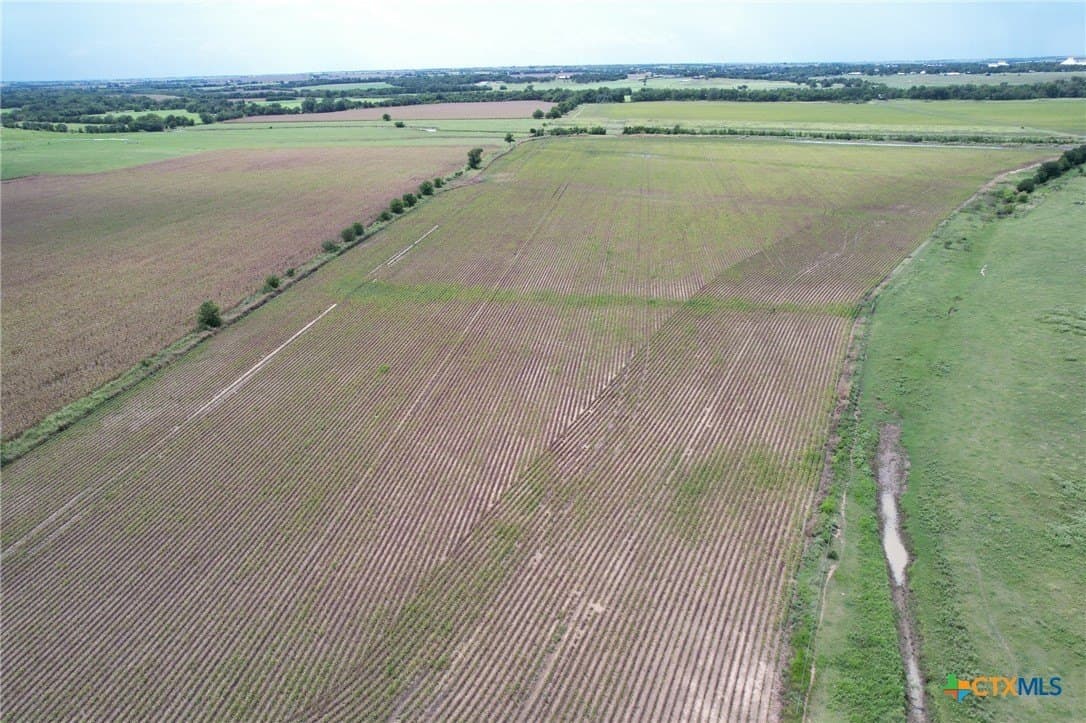 91.76 acres in Milam County - photo 13