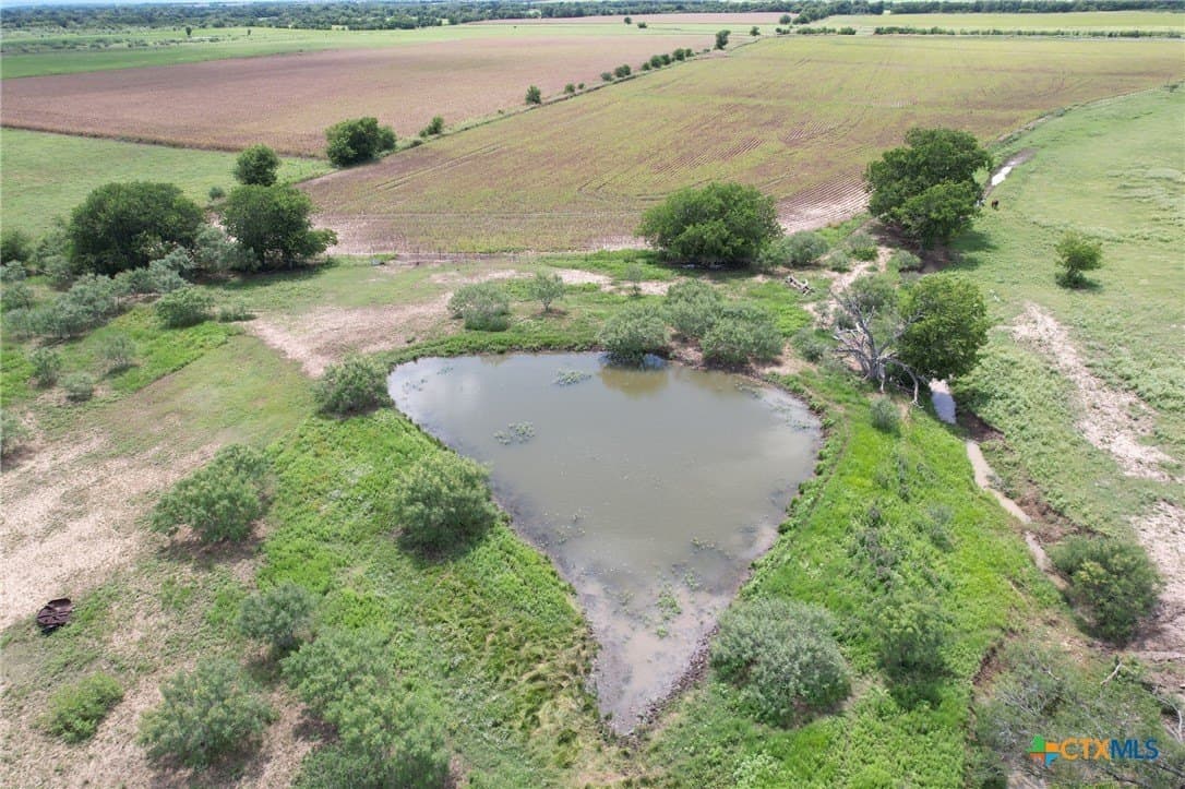91.76 acres in Milam County - photo 4