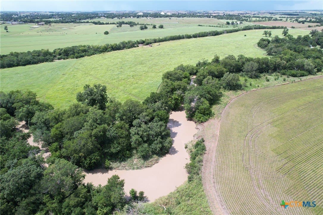 91.76 acres in Milam County - photo 6
