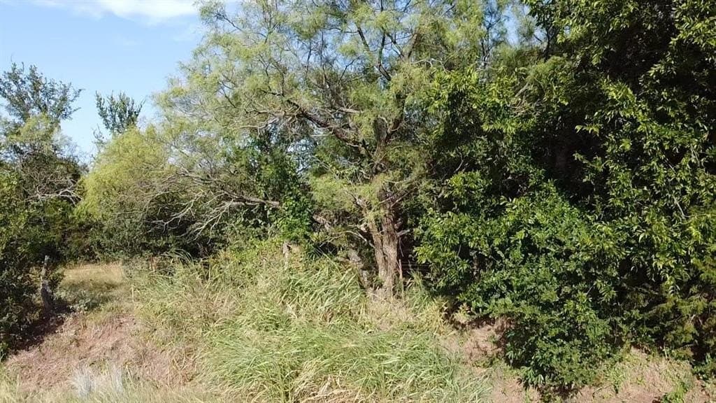 5 acres in Parker County - photo 15