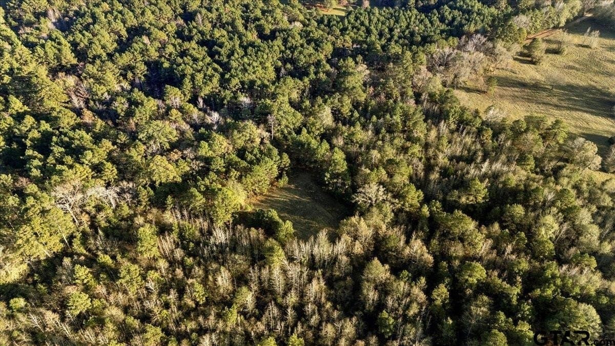 33.83 acres in Cherokee County - photo 4