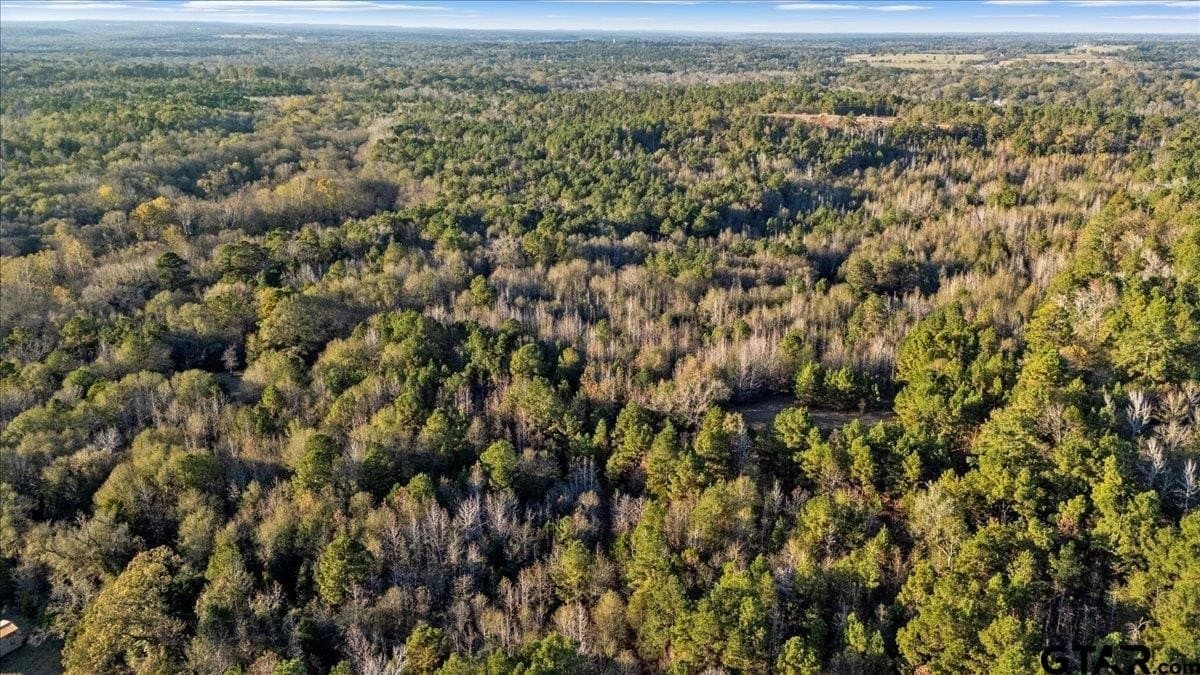 33.83 acres in Cherokee County - photo 10
