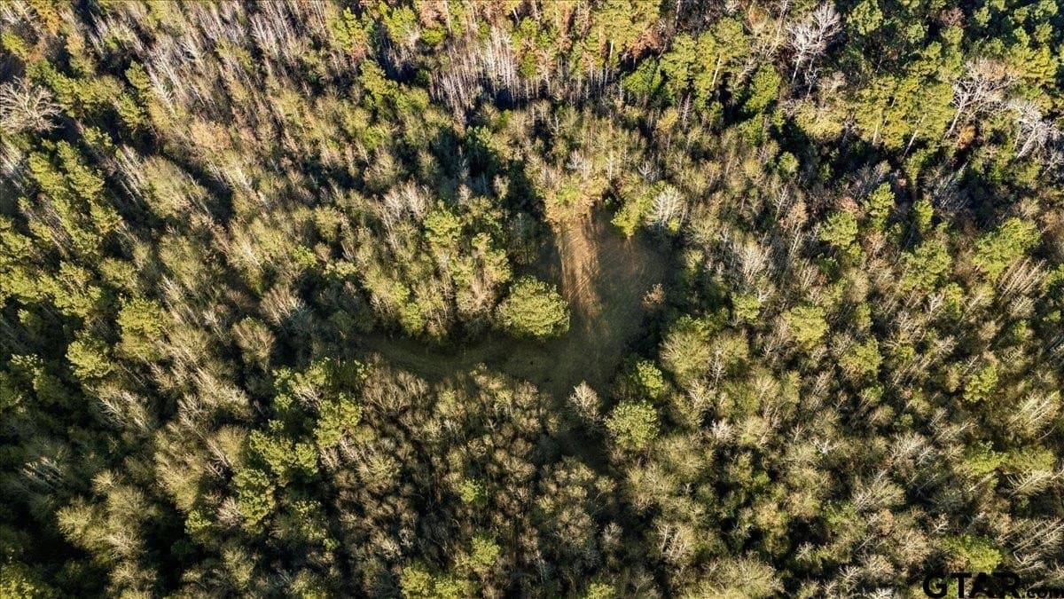 33.83 acres in Cherokee County - photo 5