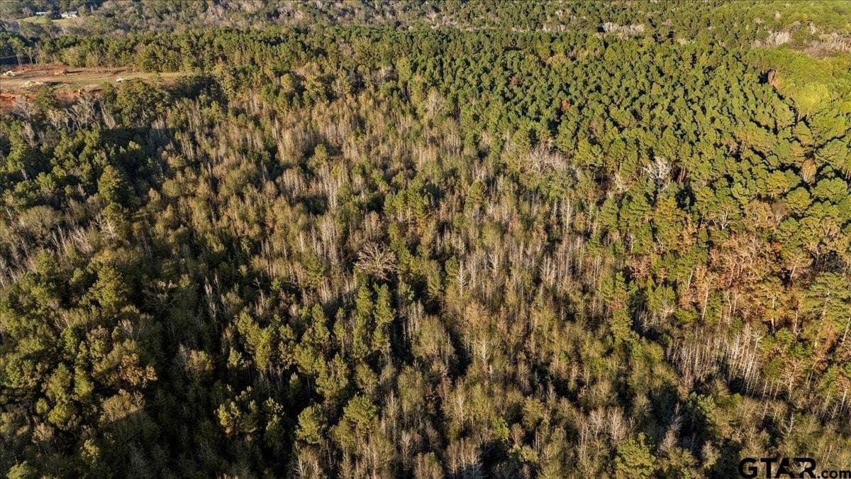 33.83 acres in Cherokee County - photo 6