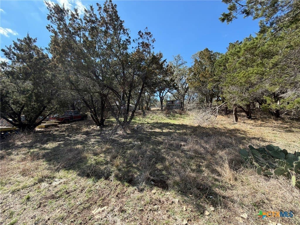 0.23 acres in Comal County - photo 4