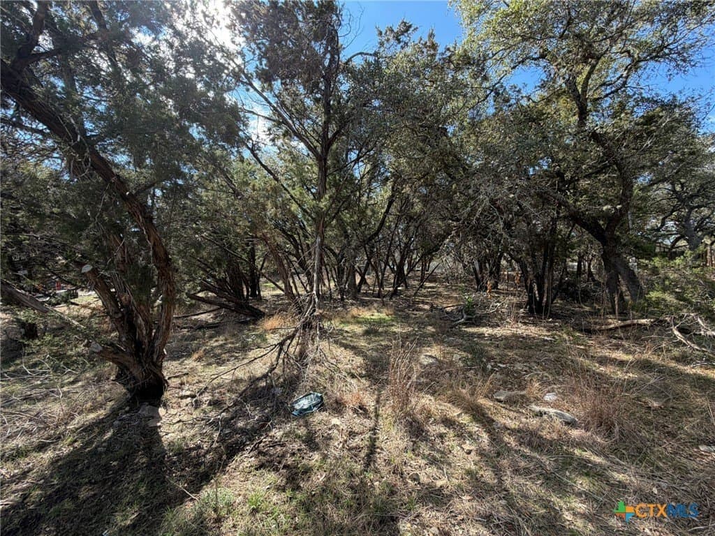 0.23 acres in Comal County - photo 7