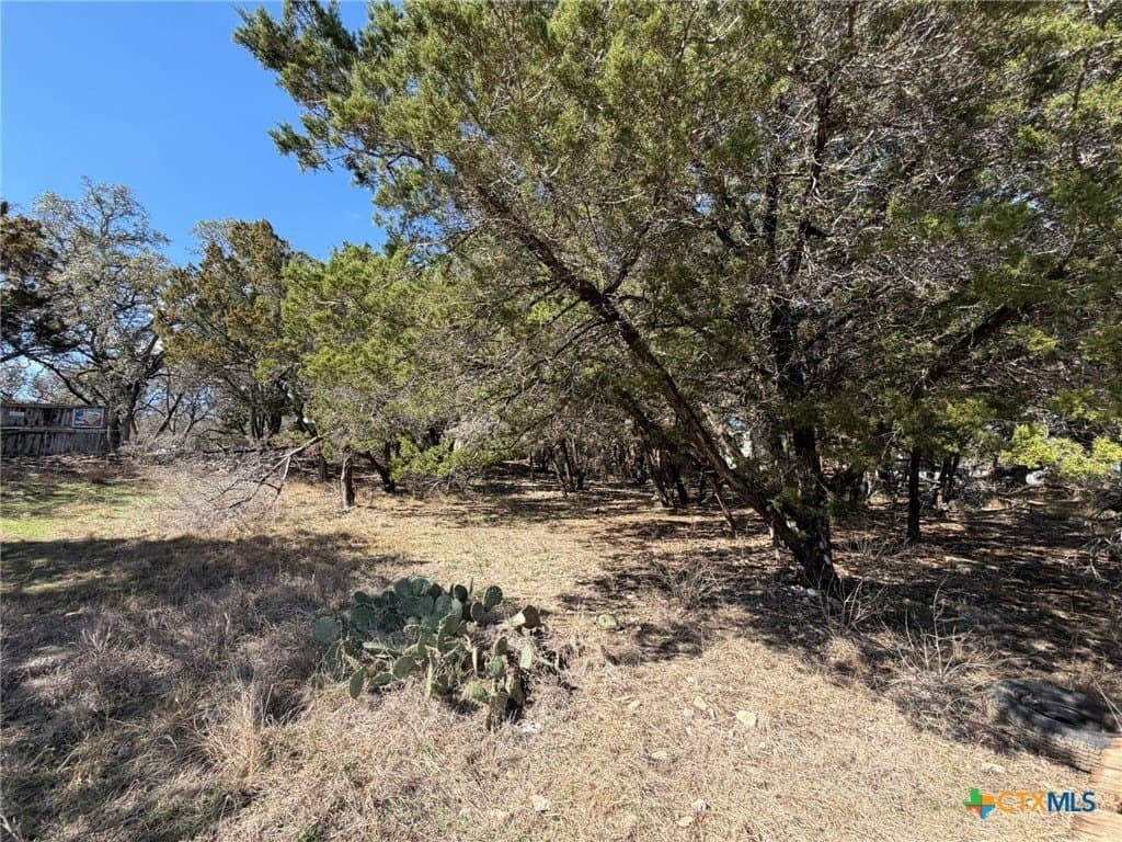 0.23 acres in Comal County - photo 3