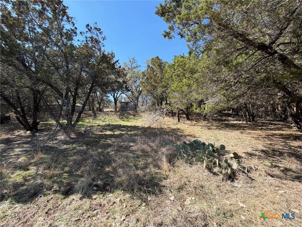 0.23 acres in Comal County - photo 2