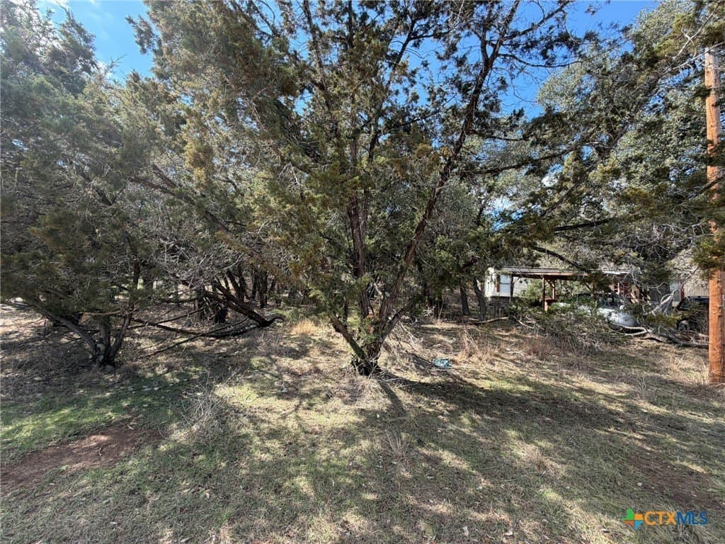 0.23 acres in Comal County - photo 6