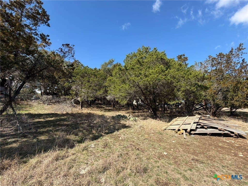 0.23 acres in Comal County - photo 5