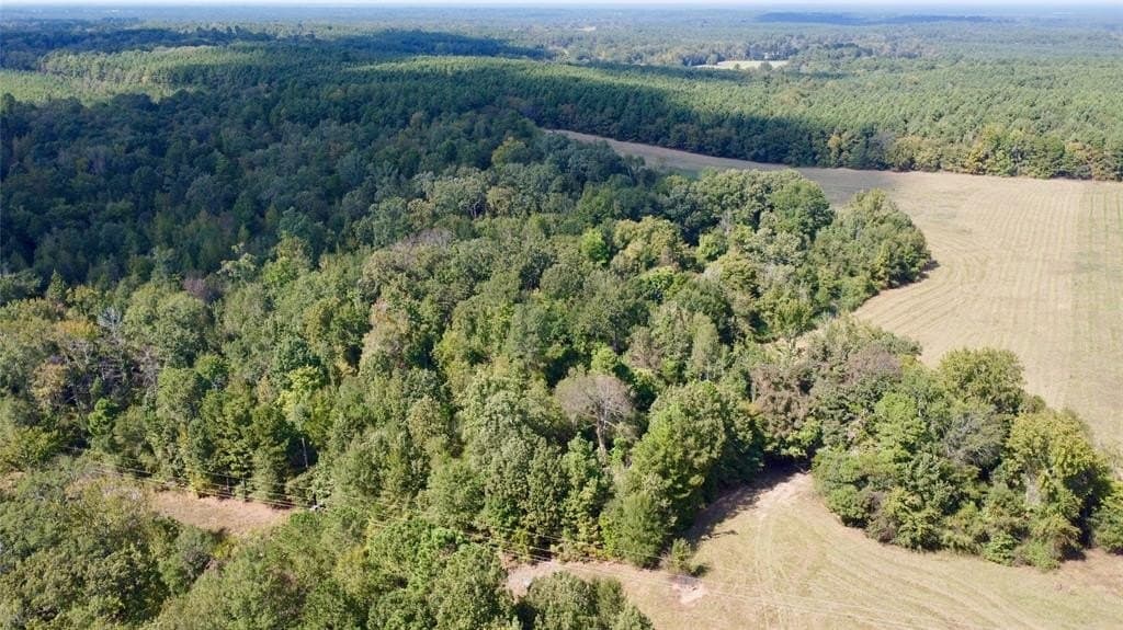 67.47 acres in Cass County - photo 22