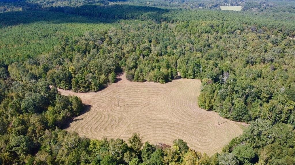 67.47 acres in Cass County - photo 24