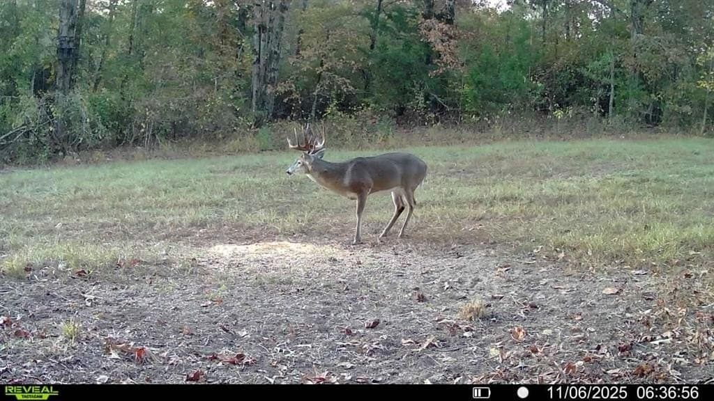 67.47 acres in Cass County - photo 3