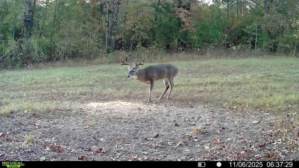 67.47 acres in Cass County - photo 6