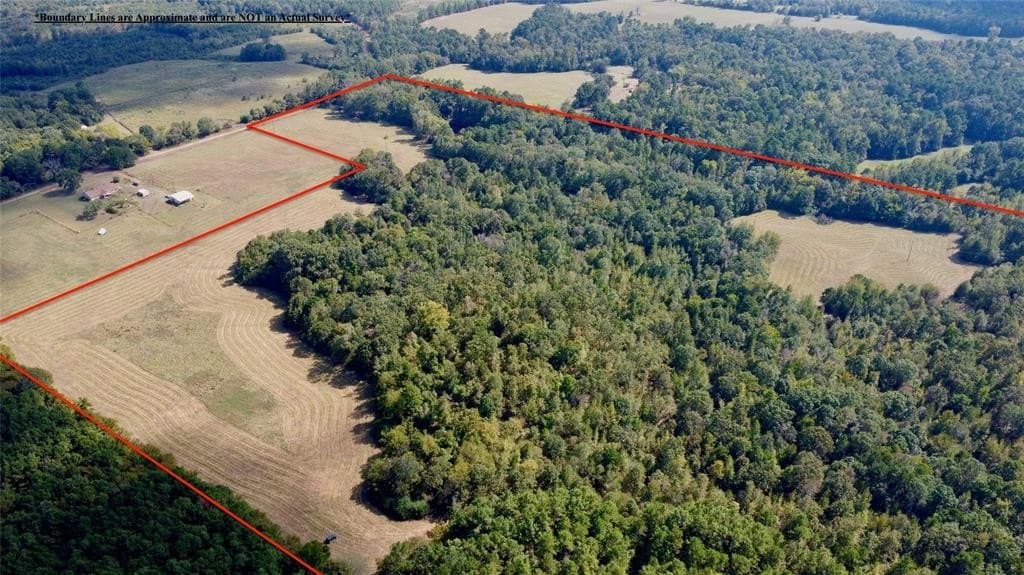 67.47 acres in Cass County - photo 10