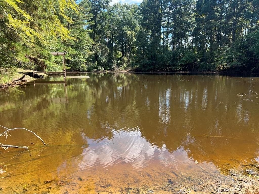 67.47 acres in Cass County - photo 15