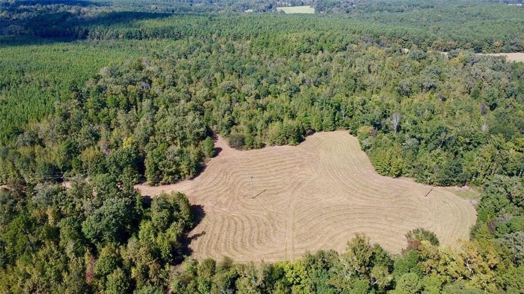 67.47 acres in Cass County - photo 25