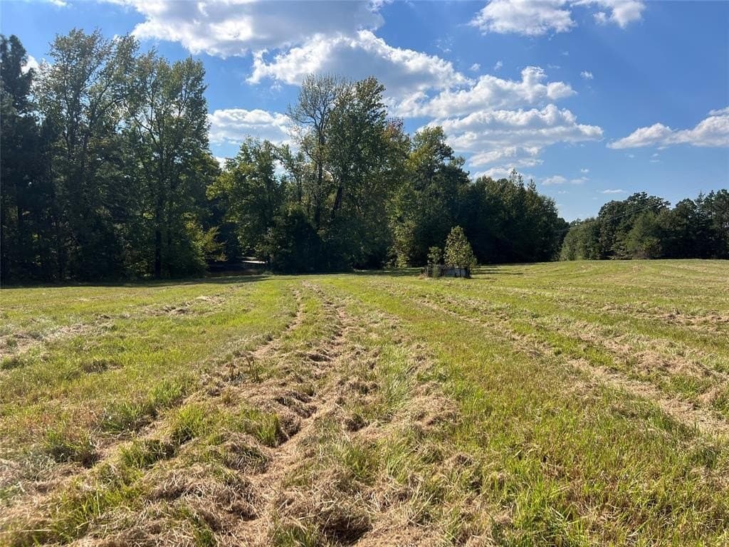 67.47 acres in Cass County - photo 31