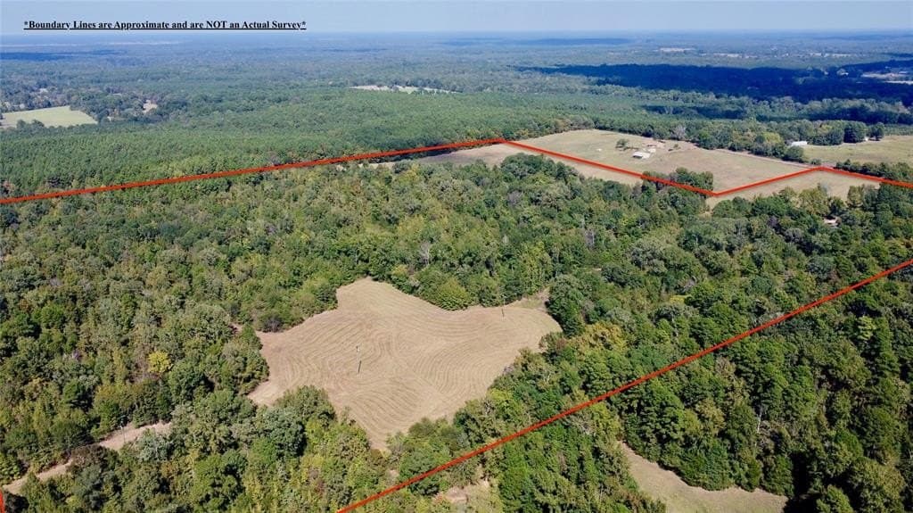 67.47 acres in Cass County - photo 7