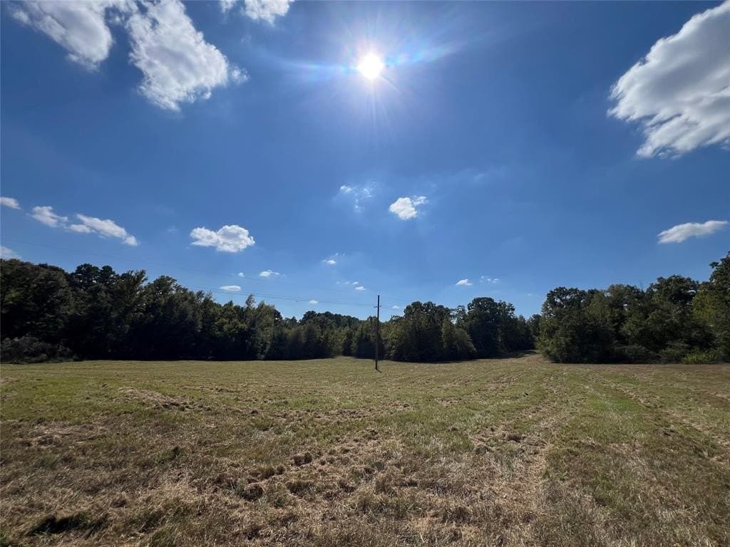67.47 acres in Cass County - photo 28