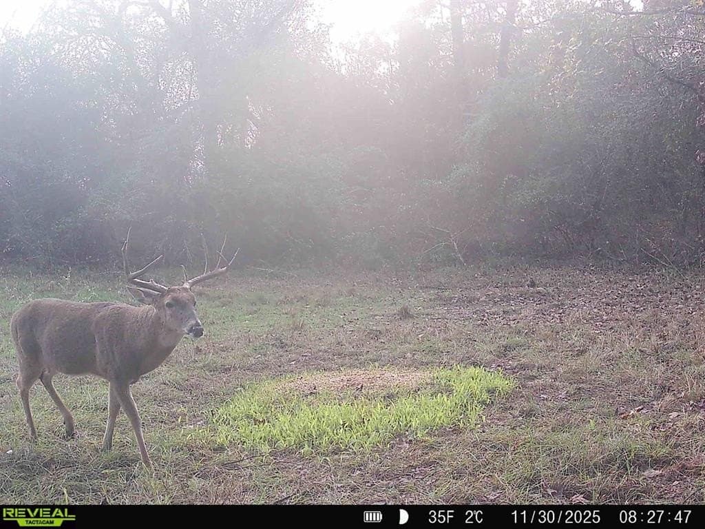 67.47 acres in Cass County - photo 19