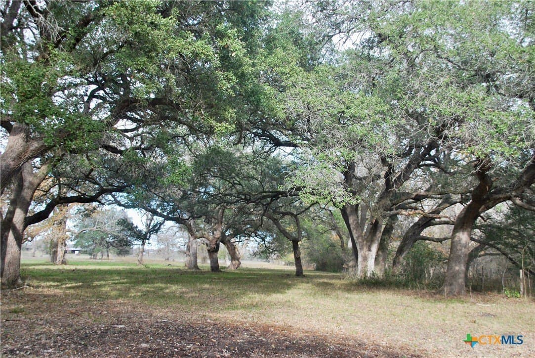 240.47 acres in Gonzales County - photo 46