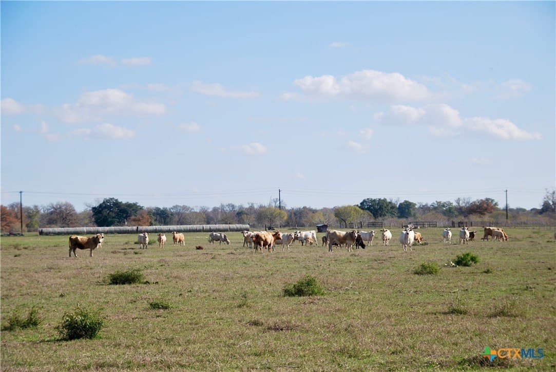 240.47 acres in Gonzales County - photo 26