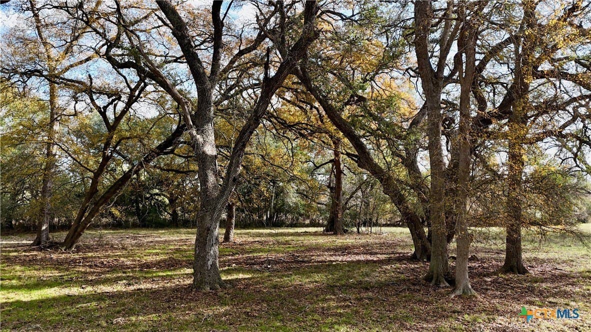 240.47 acres in Gonzales County - photo 47