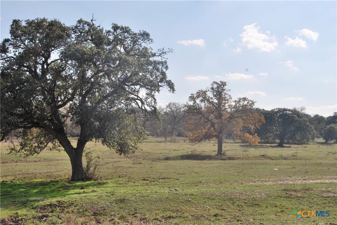 240.47 acres in Gonzales County - photo 9