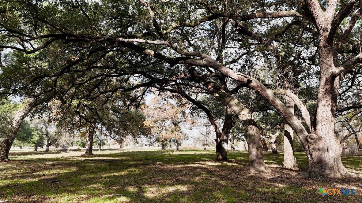 240.47 acres in Gonzales County - photo 43