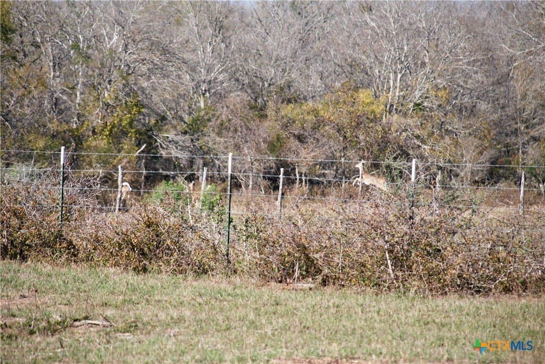 240.47 acres in Gonzales County - photo 19