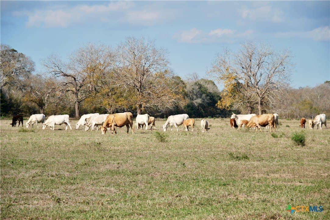 240.47 acres in Gonzales County - photo 29