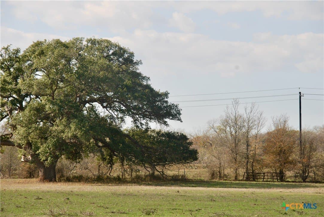 240.47 acres in Gonzales County - photo 38