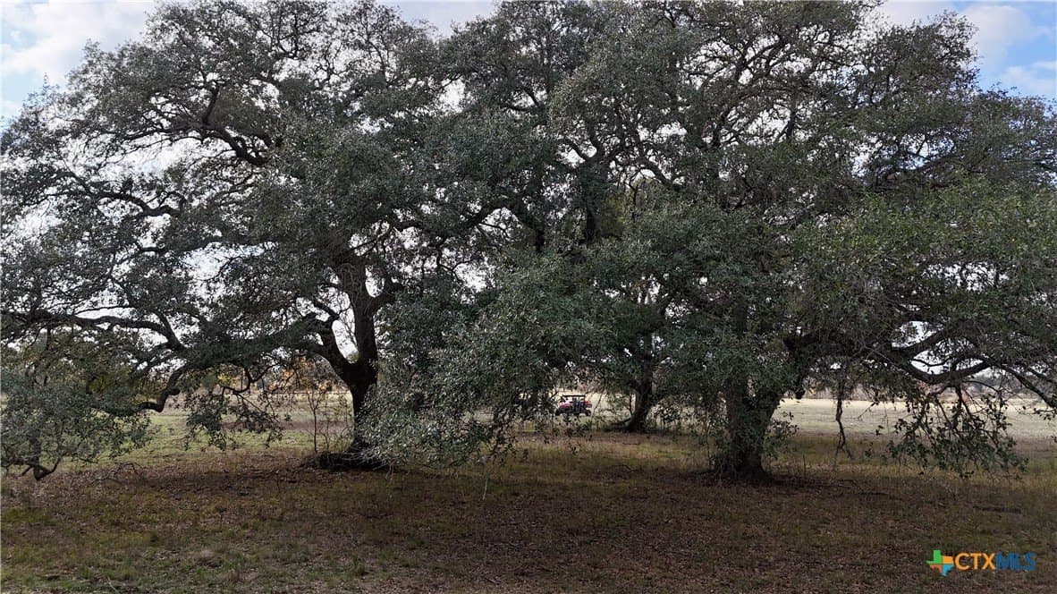 240.47 acres in Gonzales County - photo 11