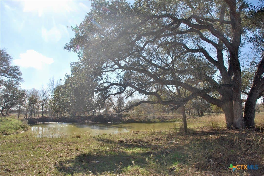 240.47 acres in Gonzales County - photo 22