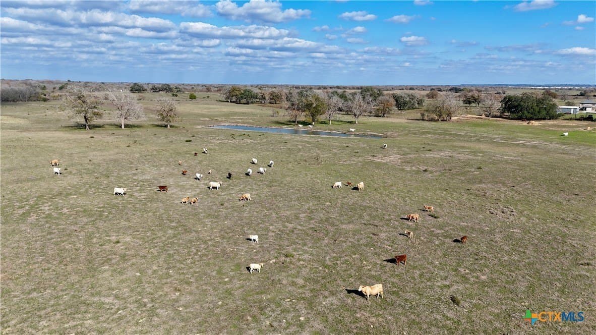 240.47 acres in Gonzales County - photo 10