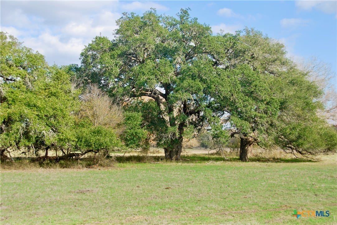 240.47 acres in Gonzales County - photo 31
