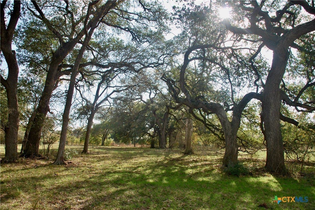 240.47 acres in Gonzales County - photo 5
