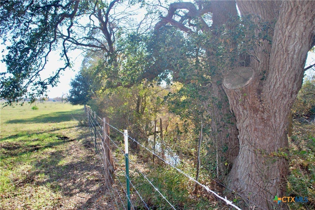 240.47 acres in Gonzales County - photo 24