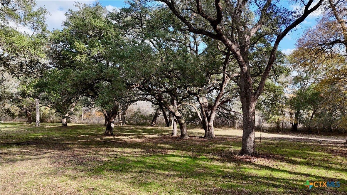 240.47 acres in Gonzales County - photo 41