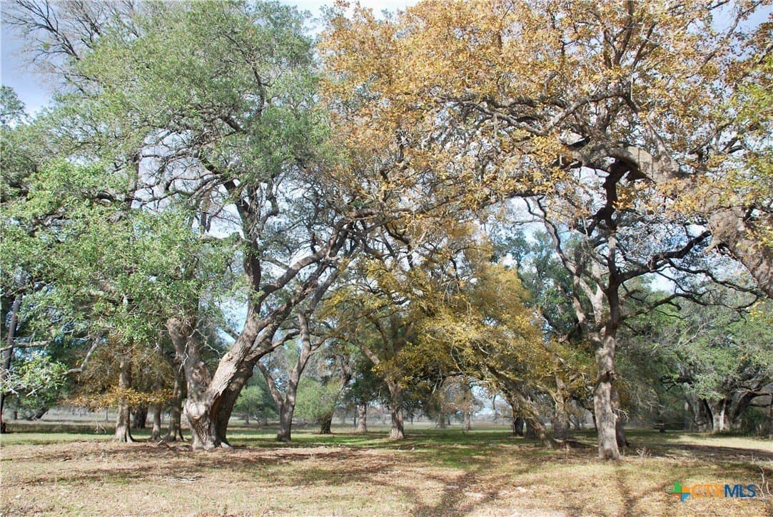 240.47 acres in Gonzales County - photo 45