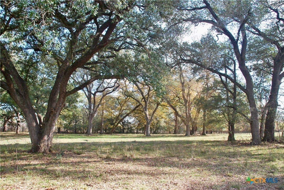 240.47 acres in Gonzales County - photo 6