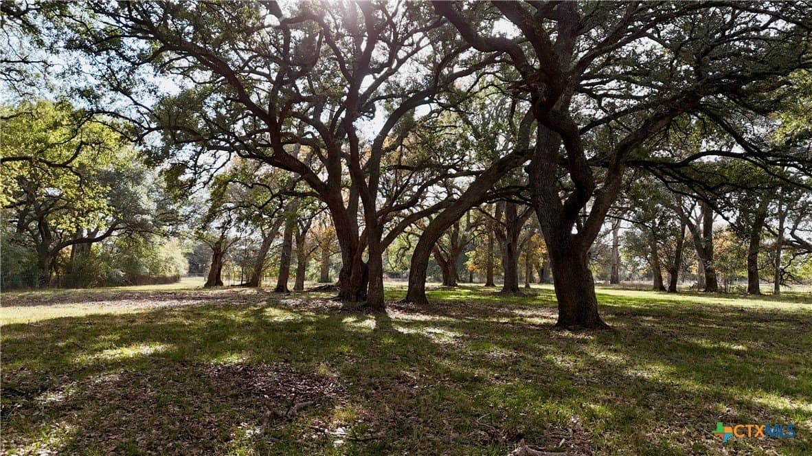 240.47 acres in Gonzales County - photo 44