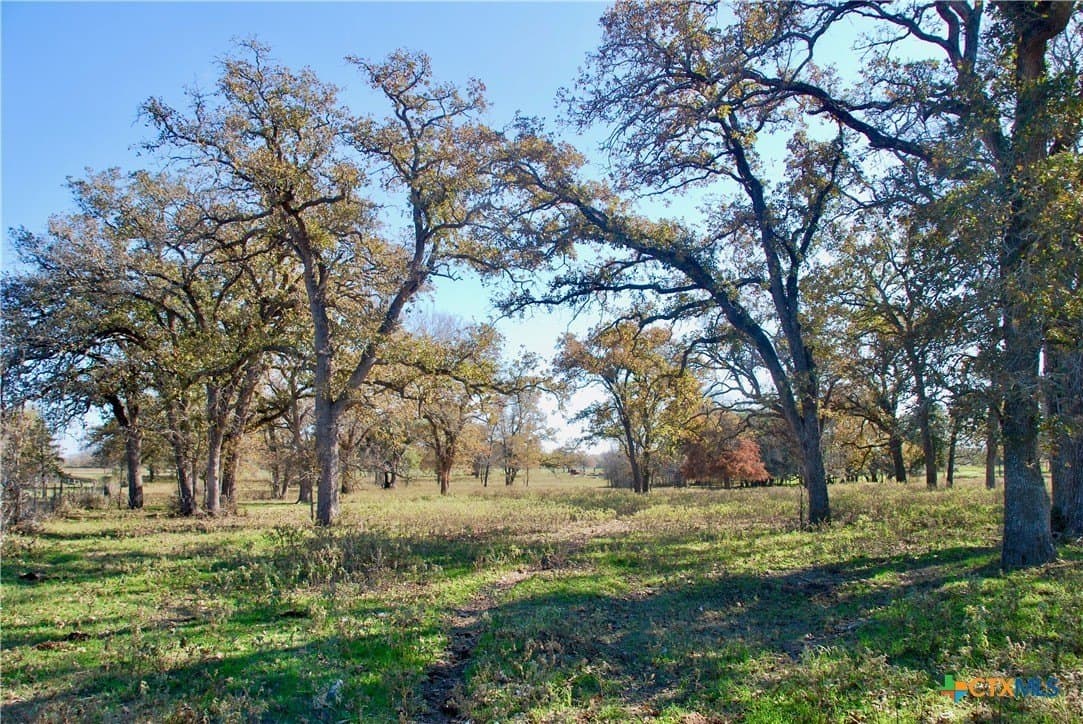240.47 acres in Gonzales County - photo 20